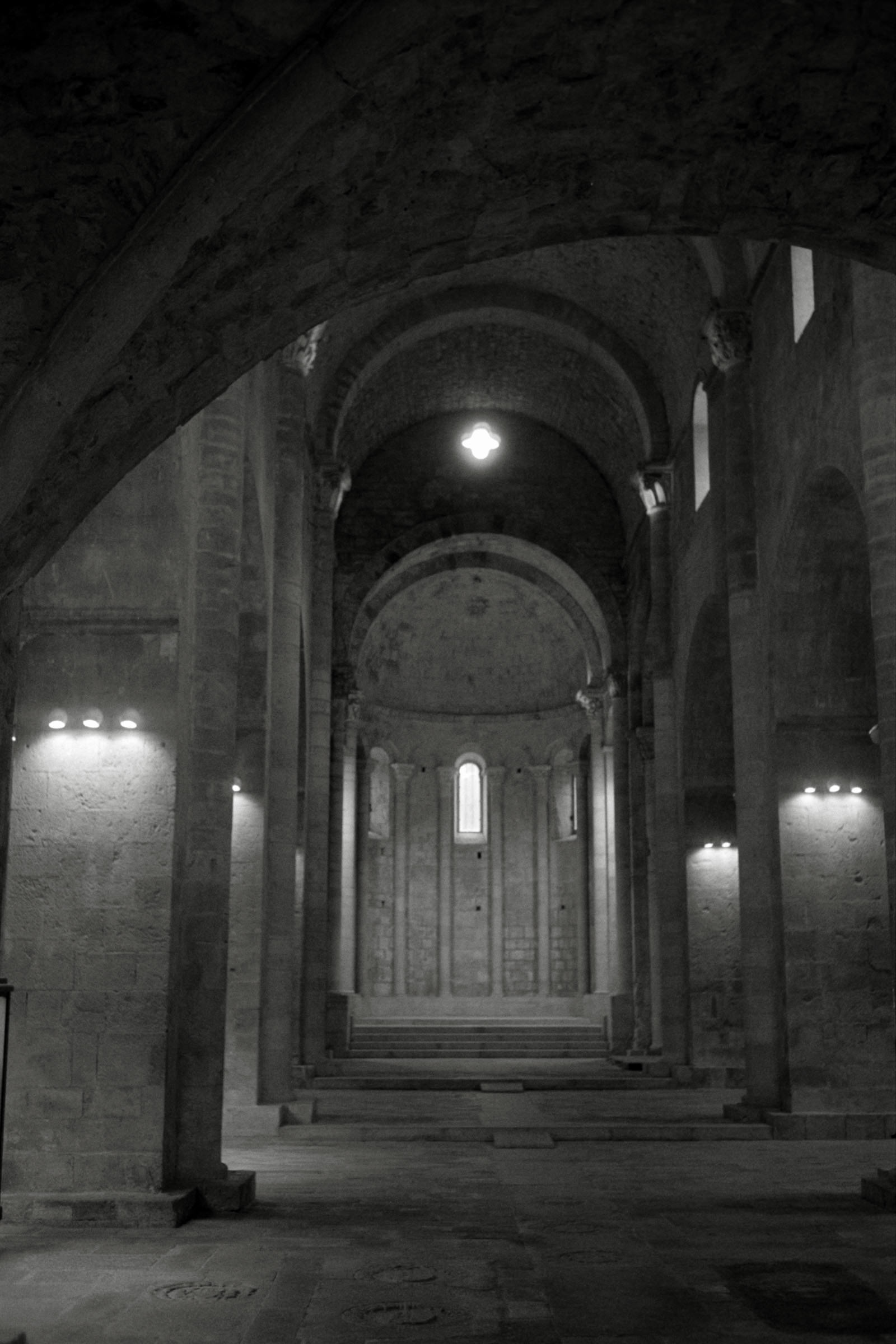 AHP F1996 02 001 sc240816 img28 NLP